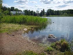 Lammaslampi