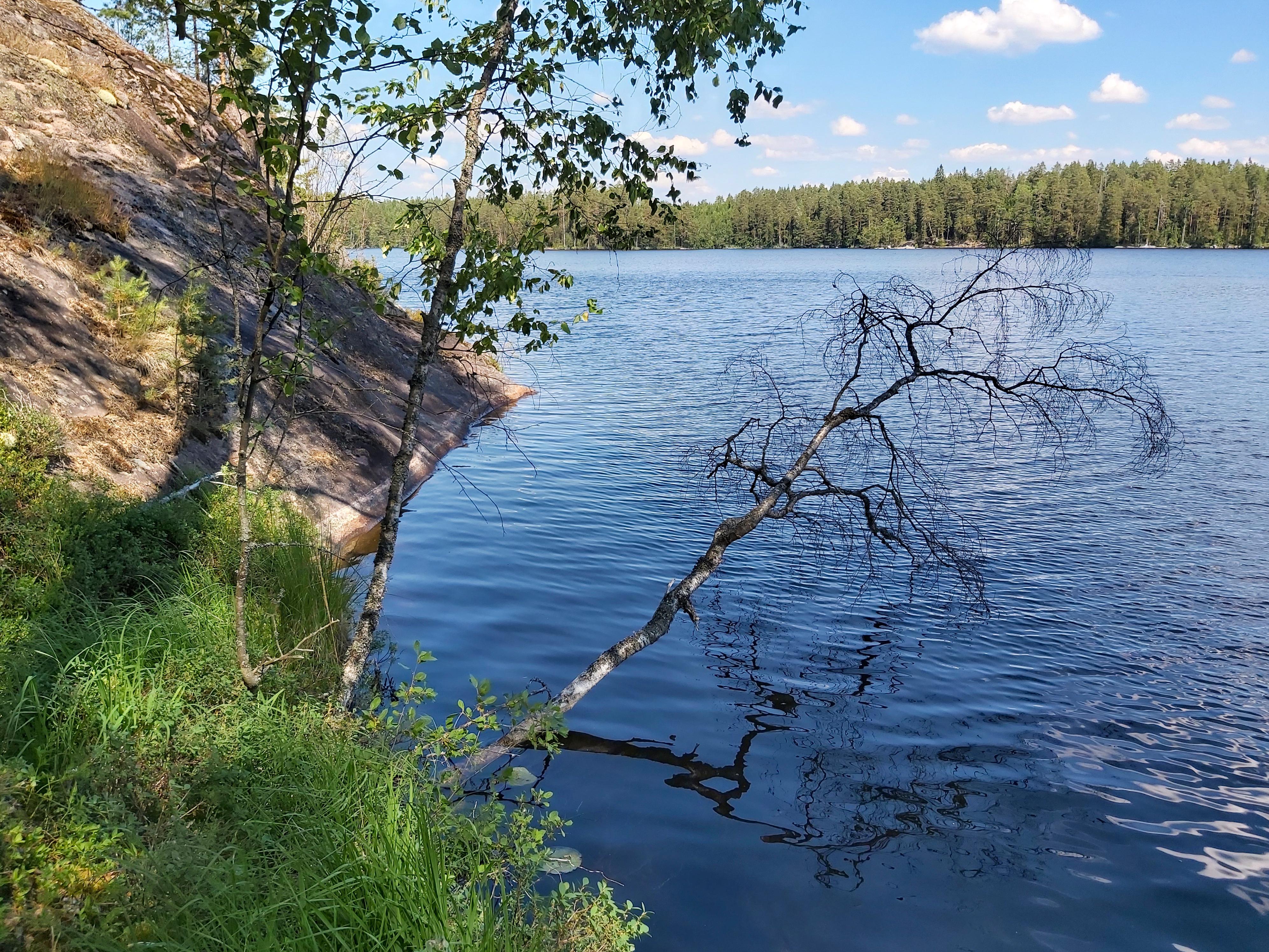 Ruuhijärvi