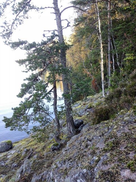 Karkali nature park