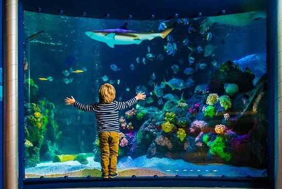 Sea Life Helsinki