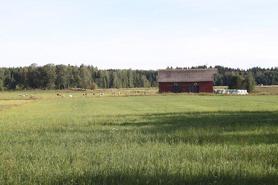 Viikinlahti park