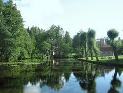 Fiskarsinjoki