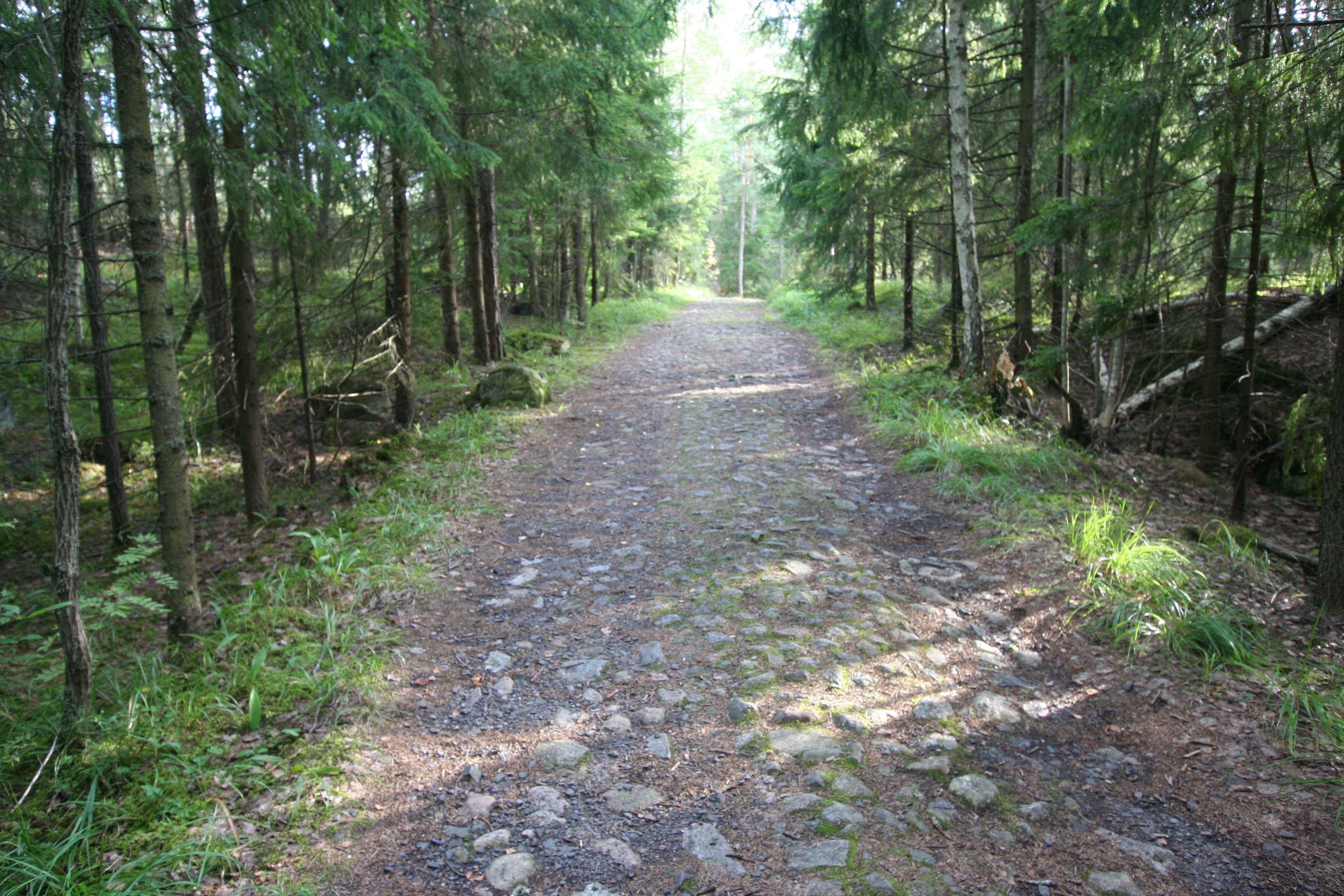 Mustavuori