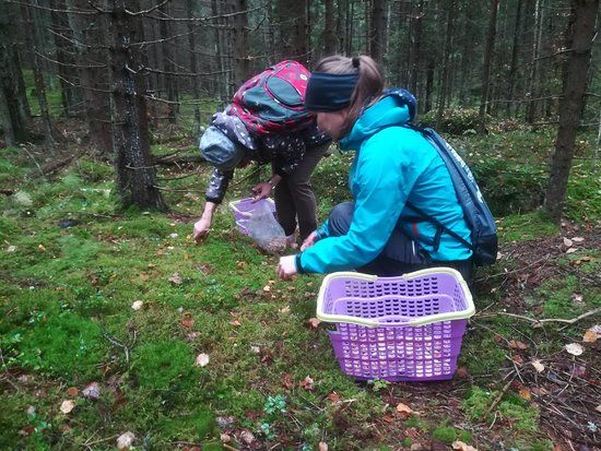 Sipoonkorven Kansallispuisto